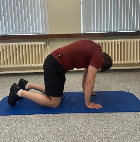 A person demonstrating Cat Camel exercise, in camel pose.