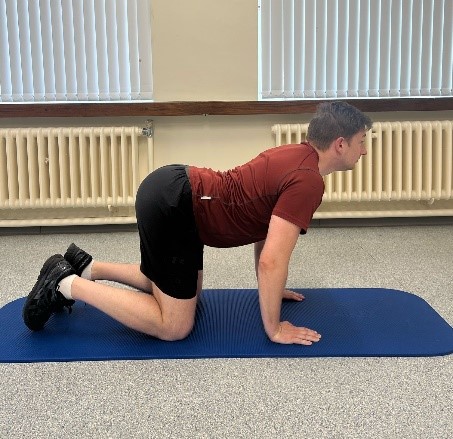 A person demonstrating a Cat Camel exercise, in cat pose