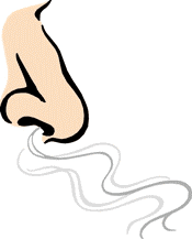 Cartoon Of A Nose