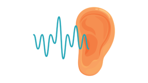 Ear