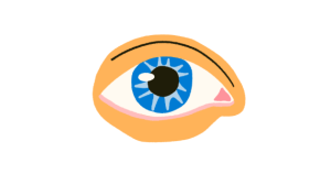 Eye
