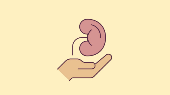 An impression of a hand and a kidney