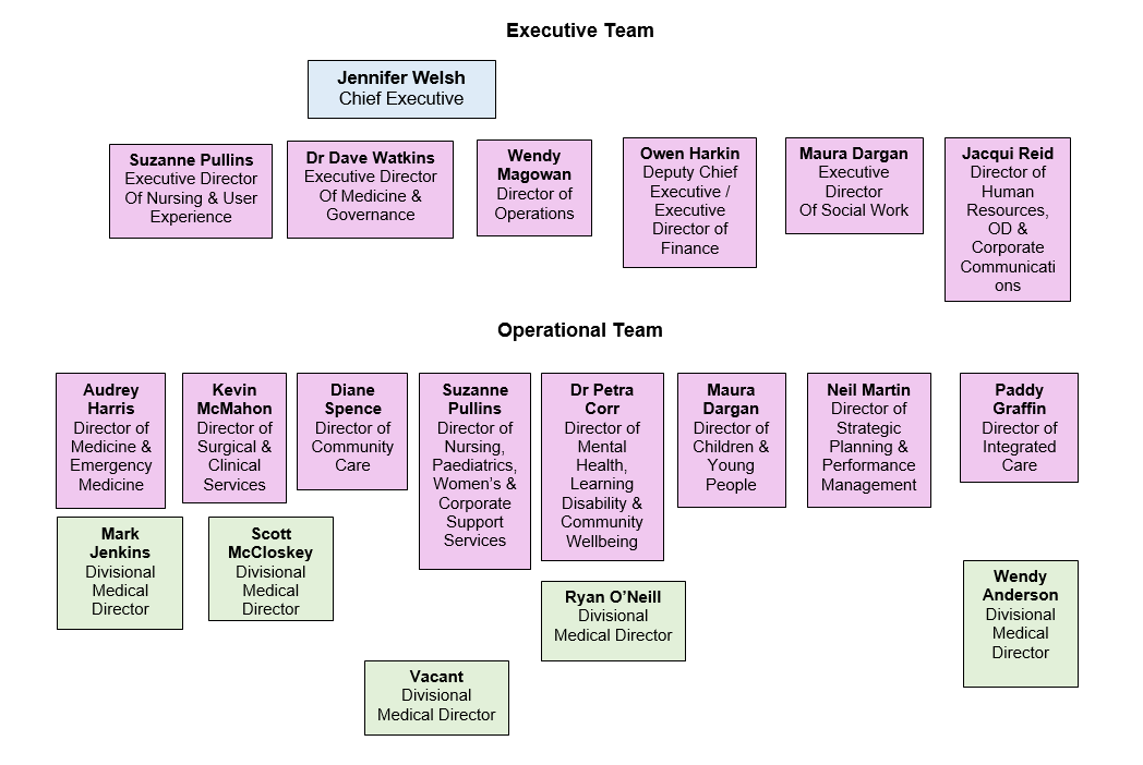 Appendix 1 Organisational chart