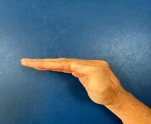 Hand, wrist slightly bent and the fingers held straight and together in a horizontal position